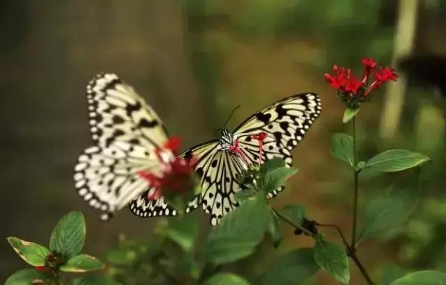 国庆佛山哪里好玩的景点适合小孩,佛山周边国庆旅游推荐好去处