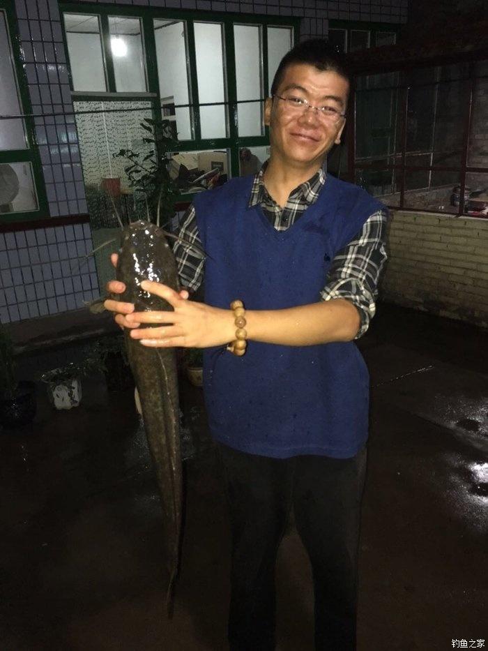 自配鲤鱼配方,自配鲤鱼饵配方