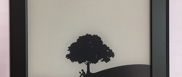戒手机强迫症的好朋友：亚马逊电子阅读器