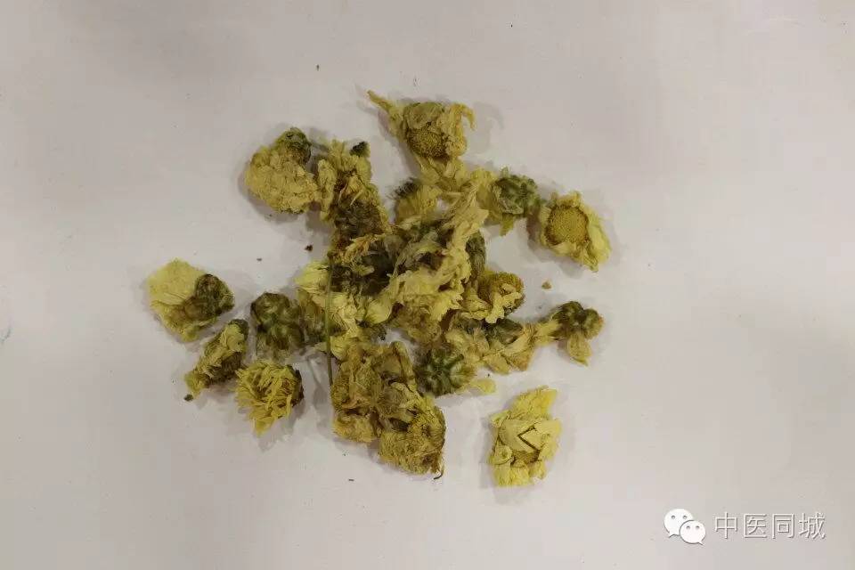 菊花清凉植物茶饮料,中药野生山菊花