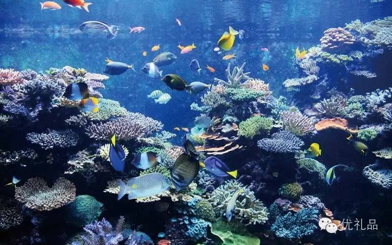 东南亚旅游必买物品清单,东南亚旅游什么东西最值得带