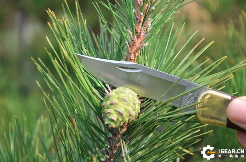 巴克110折刀评测,buck刀测评