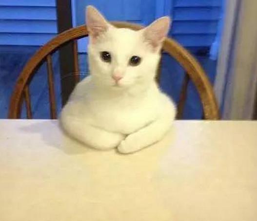 速度不知道快不快！你这网吧高是高，老板