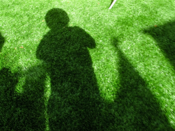 最小年纪摄影师,最小的摄影师6岁作品