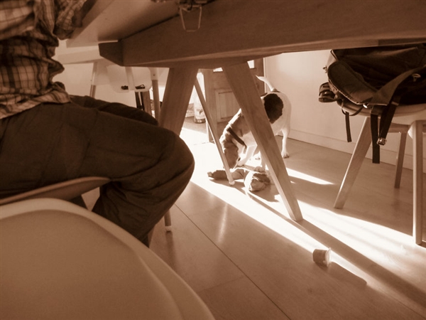 最小年纪摄影师,最小的摄影师6岁作品