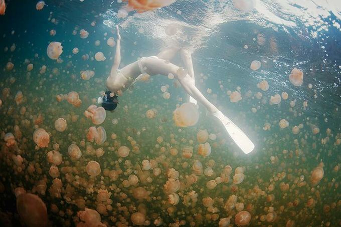 帕劳的生活真实感受,三次帕劳有什么感觉