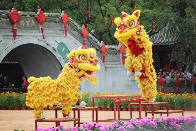 广东醒狮精彩表演,广东醒狮表演2022