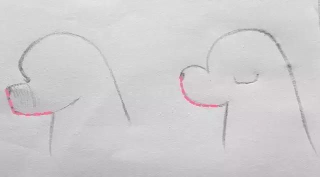 比熊标准装,比熊赛级造型