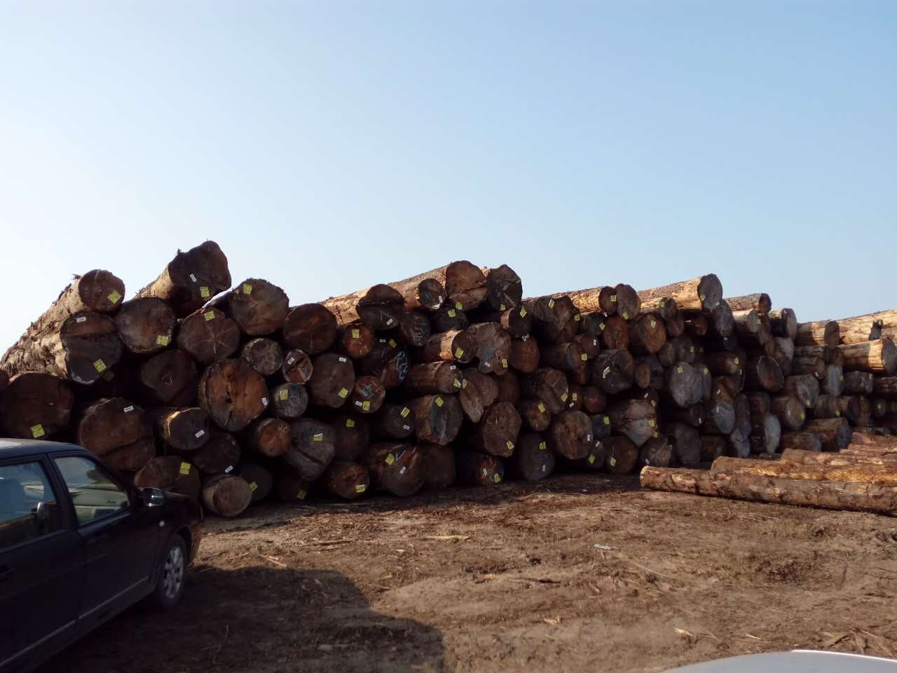 （多图）你很难猜到做一把普通木吉他居然要......