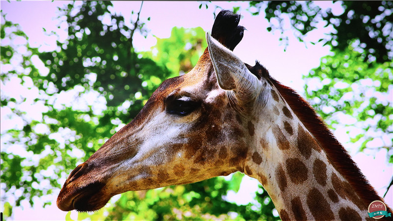高颜值,大内存!全能影音小霸王—开博尔芒果月光宝盒X5评测