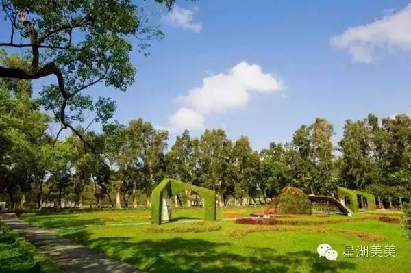 从肇庆坐高铁去香港多少个小时,广东到台湾攻略