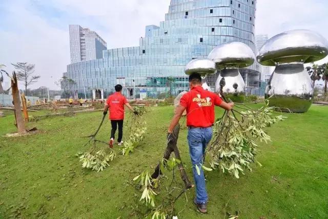 台风后的厦门值得一看,台风过后的厦门依然美丽