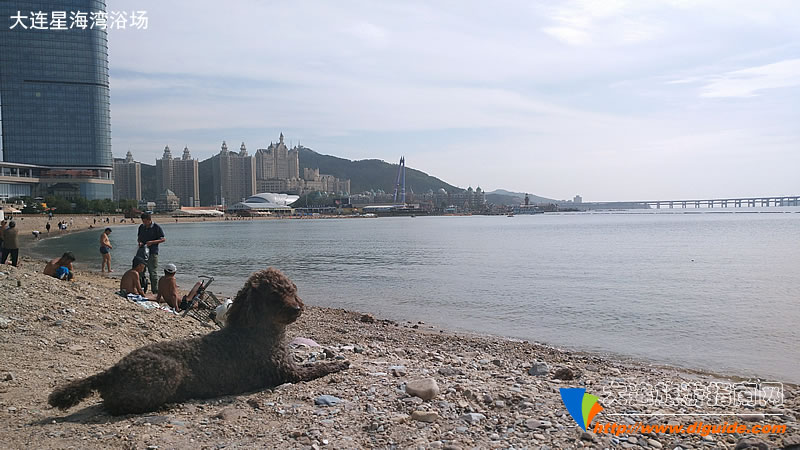 大王叫我来“巡街”:大连星海广场、星海公园、黑石礁