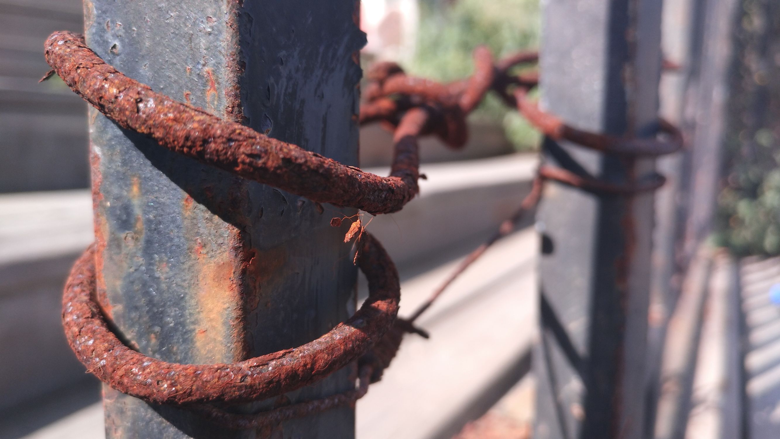 大王叫我来“巡街”:大连星海广场、星海公园、黑石礁