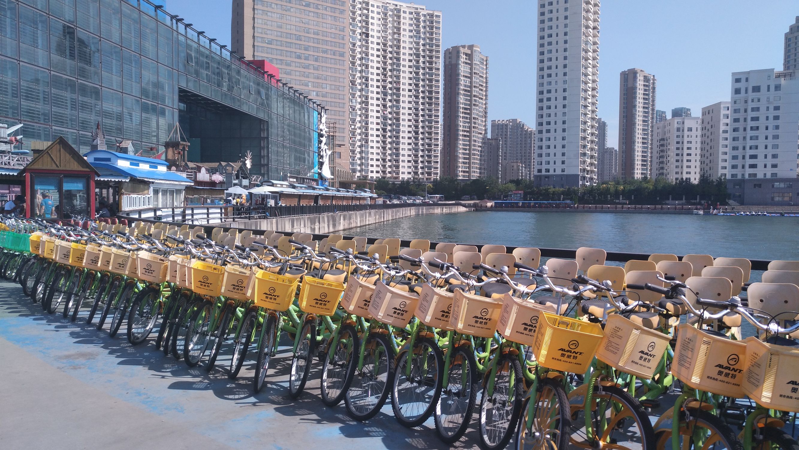 大王叫我来“巡街”:大连星海广场、星海公园、黑石礁