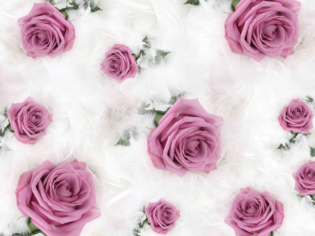 如何做壁纸变现,怎么做壁纸推广