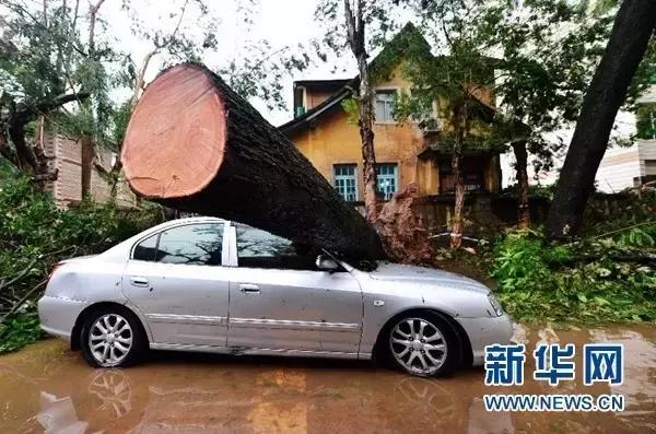 渭南到三原早班车,渭南到大荔县早班车