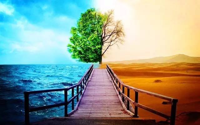 越南美丽的季节,越南越美