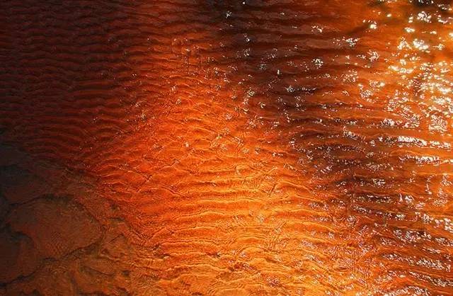 越南美丽的季节,越南越美