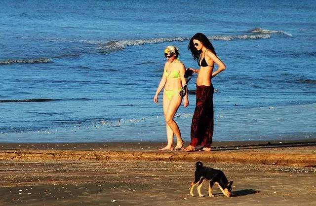 越南美丽的季节,越南越美