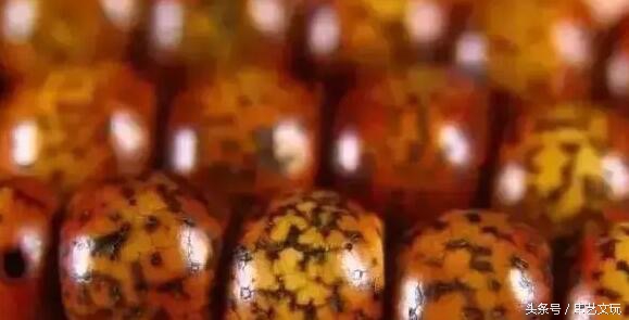 阴皮星月盘花了是什么样子,星月盘花了怎么办