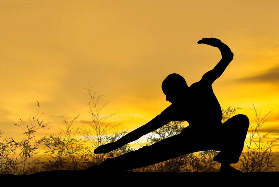 河南有什么拳,河南最凶狠拳种