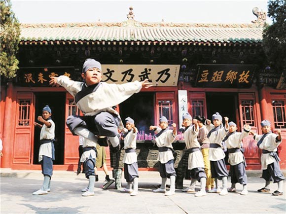 河南有什么拳,河南最凶狠拳种