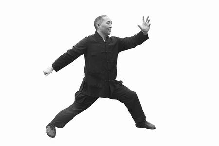 河南有什么拳,河南最凶狠拳种