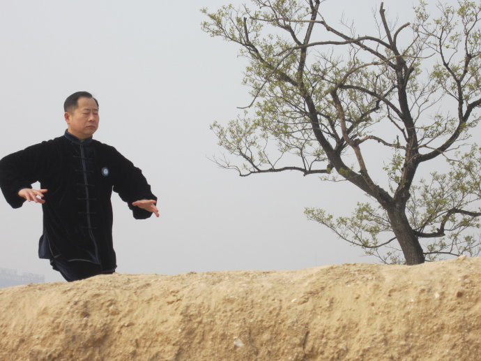 河南有什么拳,河南最凶狠拳种