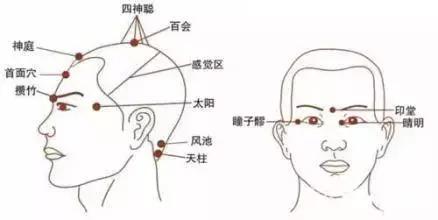 秋天刮痧排毒又进补图文教学,金秋最排毒的刮痧法