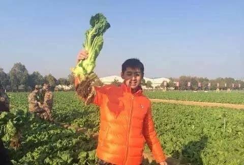 怎样嫁给张继科,怎样才能和张继科谈恋爱