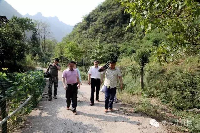 央视频道《致富经》,央视七套致富经栏目介绍紫阳茶叶