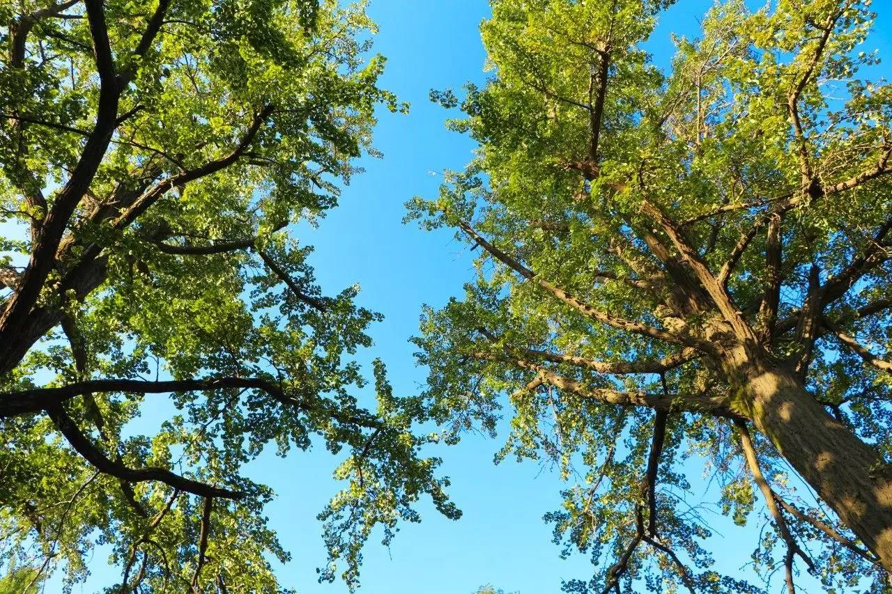 瘦西湖等14家长三角旅游景区推电子旅游护照，实现“一照通”