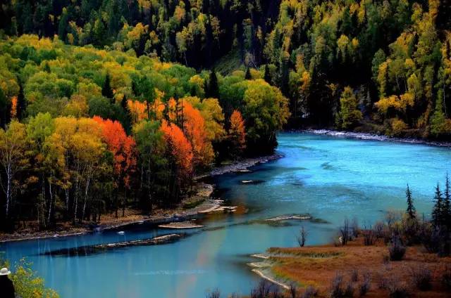 不需要知道你离世的理由，只愿你在天堂能重展笑容！