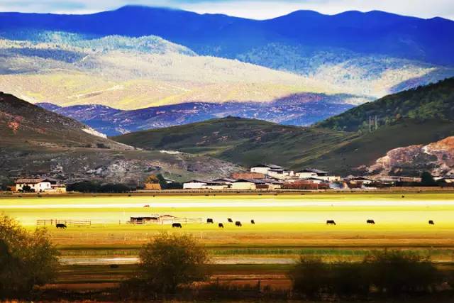 不需要知道你离世的理由，只愿你在天堂能重展笑容！