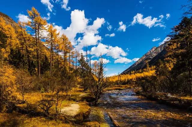 不需要知道你离世的理由，只愿你在天堂能重展笑容！