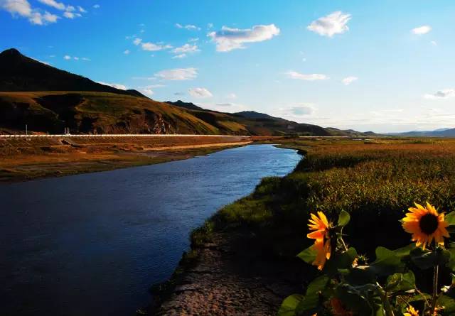 不需要知道你离世的理由，只愿你在天堂能重展笑容！