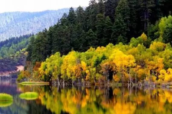 不需要知道你离世的理由，只愿你在天堂能重展笑容！