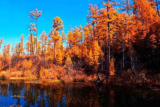 不需要知道你离世的理由，只愿你在天堂能重展笑容！