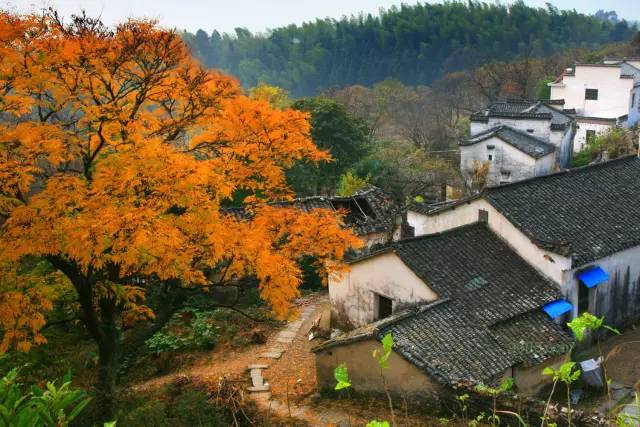 不需要知道你离世的理由，只愿你在天堂能重展笑容！