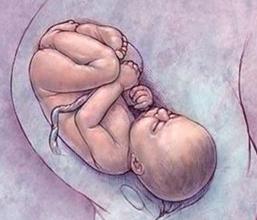 小宝宝胎头何时入盆？胎头入盆后多久会分娩？