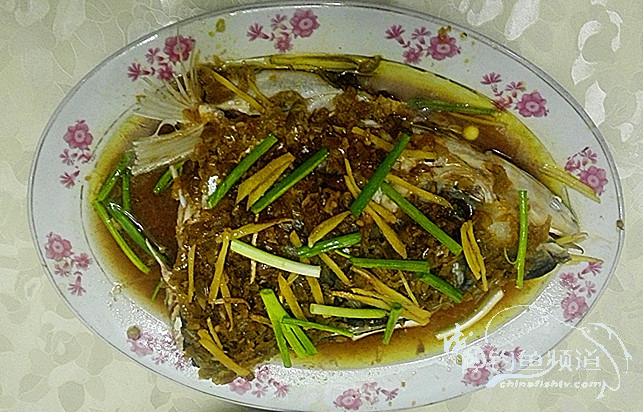 桐湖湿地钓鱼,桐湖钓鱼