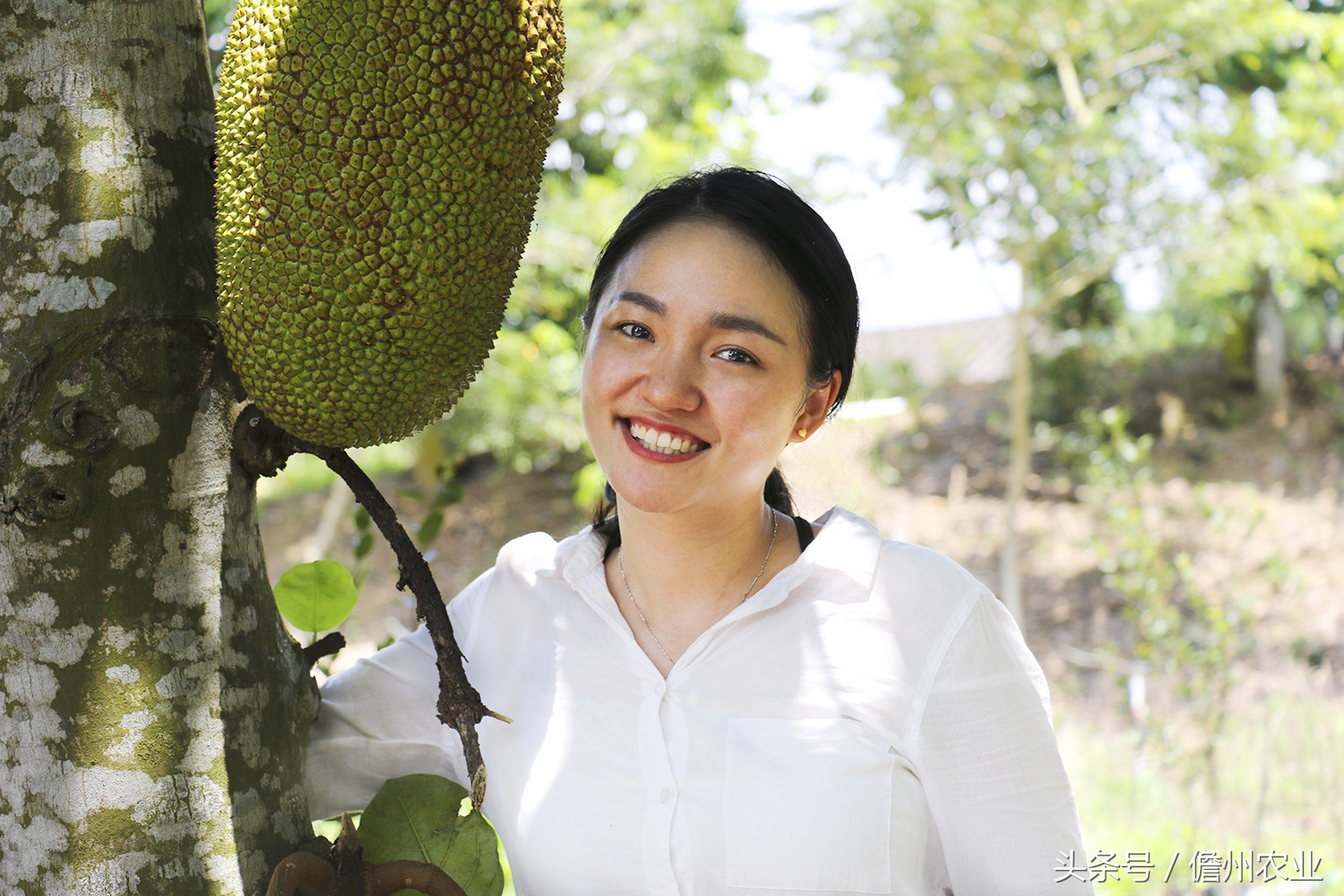 菠萝蜜是什么味道的怎么形容,菠萝蜜没什么味道是怎么回事
