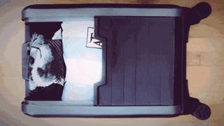 不买RIMOWA,优质好用的行李箱要怎么挑?