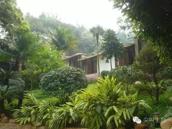 广州最好的温泉度假酒店,广州适合的休闲度假酒店