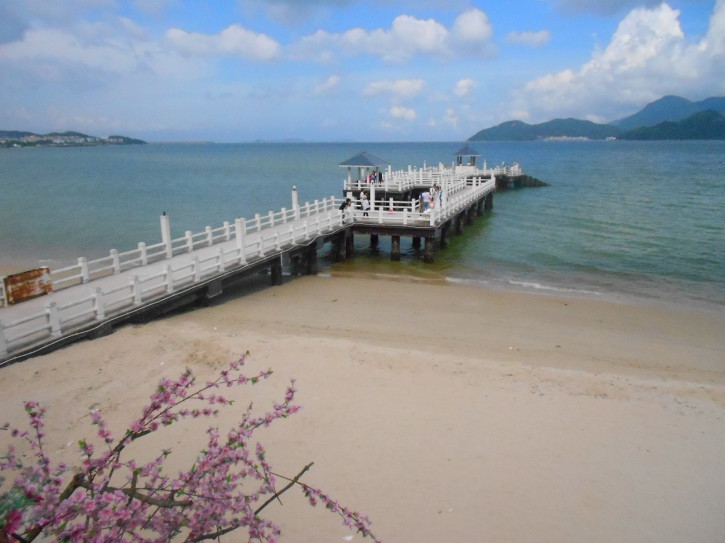 国庆带狗狗适合去哪玩,国庆狗狗出去浪