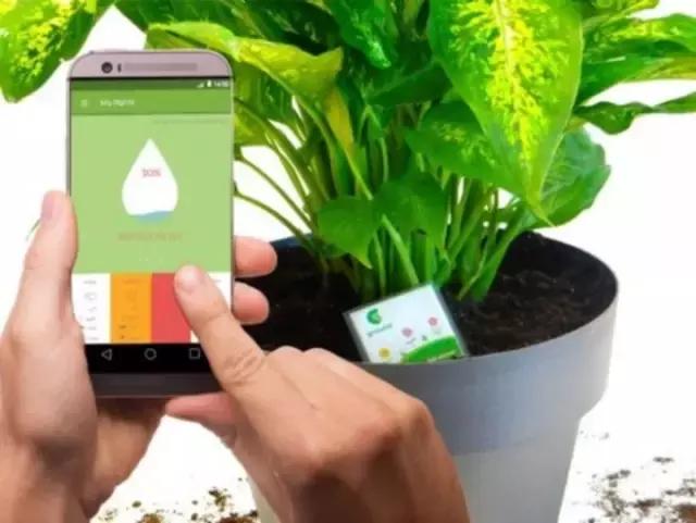 你盼着给祖国母亲过生日，我瞅着他们在自家种树