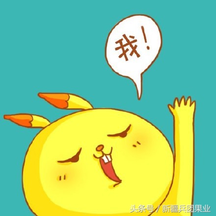 没打过底的核桃还有救吗,没打过基底的核桃