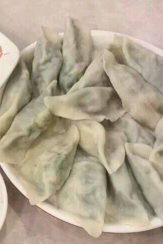 好吃不过饺子馆免费阅读,济宁水饺店哪里好吃