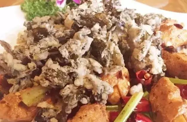 告别难吃的减脂餐,重庆南岸随香藏坊素食